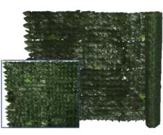 Siepe Evergreen Edera mt.: 1x3