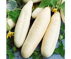 200 pezzi Molto raro nero cetriolo giapponese cetriolo lungo Semi semi di verdure per la casa Semi verdura Per la casa Giardino Piantare Cetriolo Semi