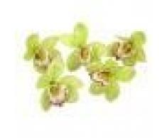 20pcs 11 Centimetri Orchidea Dendrobium Arredamento Capolini Seta Artificiale-verde