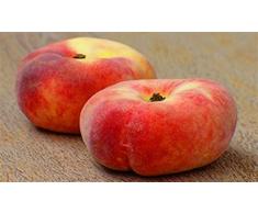 ALBERO DI PESCO -PRUNUS PERSICA SIMILE -PLATICARPA A MATURAZIONE TARDIVA- pianta vera da frutto da esterno Ø 19 cm - h 150 cm