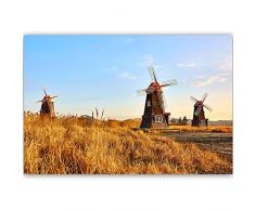 Feeby Stampa Arte Paesaggio Immagine da Parete Mulino a Vento Natura Giallo 90x60 cm