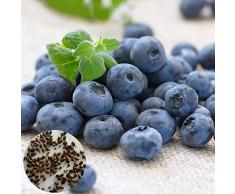 Benoon Semi Di Mirtillo, 100 Pezzi/Borsa Semi Di Mirtillo Piante Grasse Nutrienti Mini Semi Di Frutta Naturali Georgici Per Giardino Semi di mirtillo
