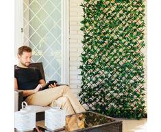Catral 43040031 Graticcio Estensibile Laurel, Verde, 150 x 3 x 100 cm
