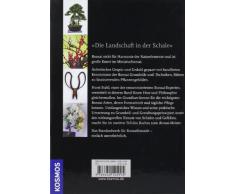 Bonsai: Vom Grundkurs zum Meister