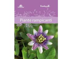 Piante rampicanti