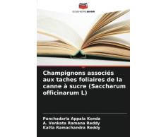 Champignons associés aux taches foliaires de la canne à sucre (Saccharum officinarum L)