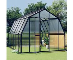 Tidyard Serra,Grande,da Giardino,per Esterno,in Alluminio Antracite e Policarbonato,282x338x243 cm,9,53 m²,Serra per Piante,Serra da Esterno,Serra in Policarbonato,Serra Grande,Serra da Giardino