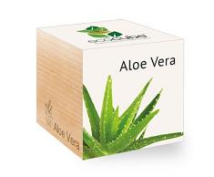 Feel Green - Ecocube, Aloe Vera, Idea Regalo (100% Ecologica), Kit per Far Crescere la Propria pianta, Piante in cubi di Legno da 7,5 cm, Prodotto in Austria