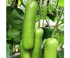 C-LARSS 100 Pz/Borsa Semi di Zucca Verde Chiaro Sano Raccolto Annuale Non OGM Facile da Piantare Eccellente Produzione di Semi di Piante per Giardino Verdura*
