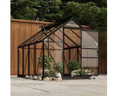 Leepesx Serra per Piante Serra da Esterno Serra in Policarbonato Serra da Giardino Serra in Vetro Antracite 155x200,5x191 cm Telaio in Alluminio