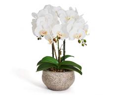 4Ever Green Grande fiore artificiale bianco ecru orchidea Phalaenopsis artificiale artificiale artificiale artificiale fiore artificiale in vaso grigio cemento 42 cm di altezza