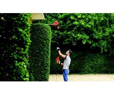 BLACK+DECKER Tagliasiepi Elettrico su prolunga - Lunghezza lama 51 cm, Testa Orientabile, Impugnatura Ergonomica 550 W, PH5551-QS