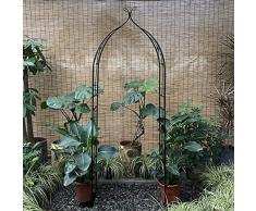 CWWHY Portauva in Ferro Battuto, Arco Giardino in Metallo Giardino Gotico Pergolato Cortile Festa Cerimonia di Nozze Decorazione Giardinaggio allaperto Passerella Archi Viti Rose Pianta Arrampicata