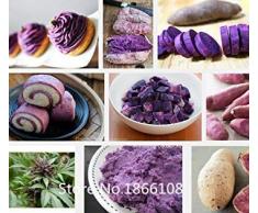 2015 di Alta qualità. 100 Semi/Pacchetto. Frutta e della Verdura Semi Annual Molokai Viola Dolce di Patate. Giardino Domestico di DIY & piantare i Semi