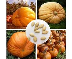 Semi di ortaggi per piantare,25pcs gigante enormi semi di zucca nutriente verdura home piantagione per giardinaggio indoor e outdoor-1