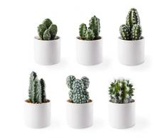 Artifloral Set di piante finte di cactus artificiali con vasi in ceramica bianca, 6 confezioni, mini piante finte in vaso per interni, piante finte realistiche per la decorazione della casa