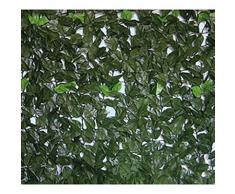 Siepe Evergreen Lauro mt.: 1,5x3