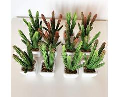 Wellhome - Set di 12 Cactus kañanchoe Artificiali con Vaso in Ceramica, Confezione da 6 St020, 9 x 5 cm