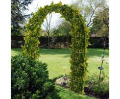 Graticcio Arco in acciaio da giardino per piante rampicanti rosa, 2,4 m