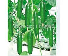 Vistaric 100 pezzi mini semi di cetriolo olandese, mini cetrioli, gusto croccante, semi di ortaggi