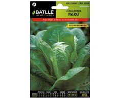 Semi Batlle – Insalata romana