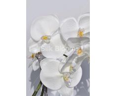 Fresh Touch, colore bianco Orchidea artificiale in vaso accordo Homewear
