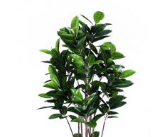 Euro Palms 82600151, Pianta ornamentale, Albero della gomma, 150 cm, Verde (Grün)