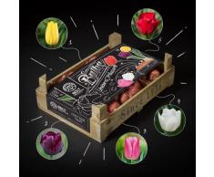 100x bulbi di tulipano dallOlanda - BOLT Amsterdam - UNICORN TREASURE - 100 bulbi da fiore - 5 colori - Nuovo raccolto - Diretto dal coltivatore