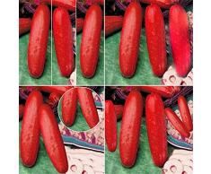 Rotyroya 100 semi di cetriolo rosso, giardino, cortile, facile coltivazione, cucumis, frutta e verdura Semi Di Cetriolo Rosso