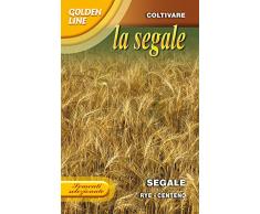 SEMENTI SELEZIONATE DI SEGALE (SECALE CERALE) IN CONFEZIONE DA 100 GRAMMI