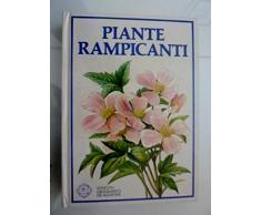 Piante rampicanti