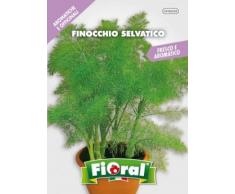 Sementi di piante aromatiche e officinali in bustina ad uso amatoriale (FINOCCHIO SELVATICO)
