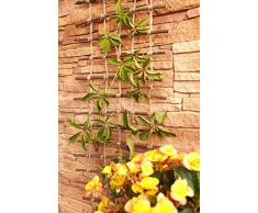 Floranica® Pergola, Griglia per rampicanti, graticolato in Vimini cotti Non trattati e Corda di Iuta, utile per Piante ed Animali, scaletta Fiore, Lunghezza: 200 cm, Larghezza:50 cm