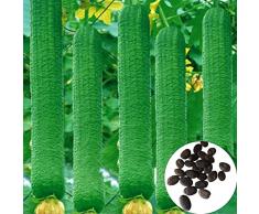 Napacoh 50 Semi di luffa pz/Borsa-Semi di Verdura commestibile a Rapida Crescita Leggera a impollinazione Aperta prolifica per Il Patio Verde
