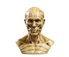 4'' Statua Busto Uomo In Resina Anatomia Muscolo Medico Artista Addobbi Casa Studio - Giallo