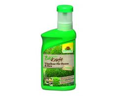 Neudorff biokraft Vitalkur per Buxus & Ilex 300 ML