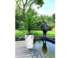 Lechuza Cubico Color 40 Vaso in Resina per Piante Set Completo - bianco opaco