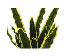 Euro Palms 82530578, Pianta ornamentale: Sansevieria Eva, 60 cm, Verde (Grün)