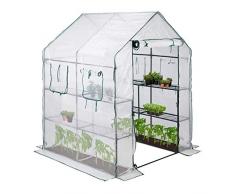Relaxdays 10023332, Serra in Telo, 4 Finestre, 2 Scaffali, Tenda in Pellicola, per Pomodori, 2m², HLP 190x140x140 cm, Trasparente