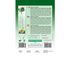 SEMI DI RUCOLA COLTIVATA FRANCHI SEMENTI - SEMENTI SELEZIONATI PRODOTTE DA AGRICOLTURA BIOLOGICA GOLDEN LINE BIOB 115/1 B BUSTINA GR 10