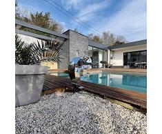 Cascade Inox Piscine - Piscina al sale, modello delfino INOX 316, altezza 60 cm, larghezza 30 cm, profondità 45,5 cm