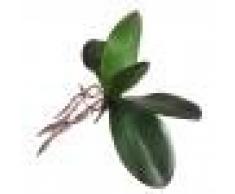 Baoblaze Foglia Orchidea Artificiale Falso Piante Decorazione Tavolo da Pranzo Nozze Matrimonio Verde - C