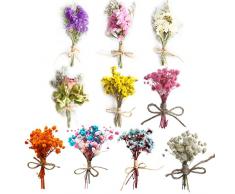 Teegxddy 10 PCS fiori secchi decorativi fiori secchi mazzo di fiori fiori secchi decorativi naturali fiori secchi decorativi piccoli fiori secchi per decorazioni decorazioni