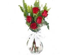 Mazzo di 5 Rose Naturali fresca.