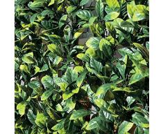 TENAX Divy 3D Plus Laurus, Siepe Sintetica 1,50x3m Foglie Tipo Lauro su Rete di Plastica