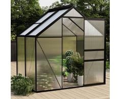 Lechnical Serra Antracite in Alluminio 2,47 m²,Serra per Piante,Sserra da Giardino Policarbonato,Serra da Giardino Invernale,Serre da Balcone Invernali,Serra per Piante Inverno,Serre da Esterno