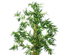 Bambú ornamentale con numerose cannette naturali, 210 cm - Bambú artificiale / Pianta decorativa - artplants