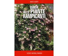 Guida alle piante rampicanti