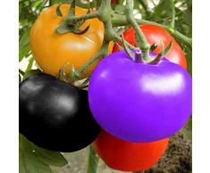 100 semi di pomodoro arcobaleno, semi di pomodoro colorati, semi di frutta e verdura, semi di pomodoro nano, per casa, giardino, balcone