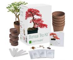 Plant Theatre - Bonsai Trio, Kit per la Coltivazione di 3 Bonsai